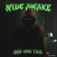 WIDE AWAKE