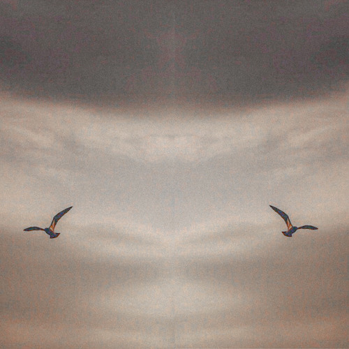 Stream Aerial Habitat by Heatace Listen online for free on SoundCloud