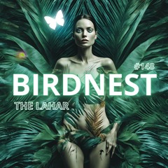 BIRDNEST #148