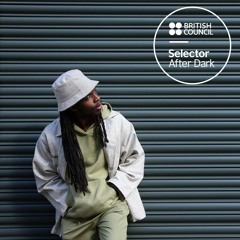 The Selector After Dark - NeONE The Wonderer