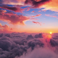 From discovery to rediscovery VOL. 23