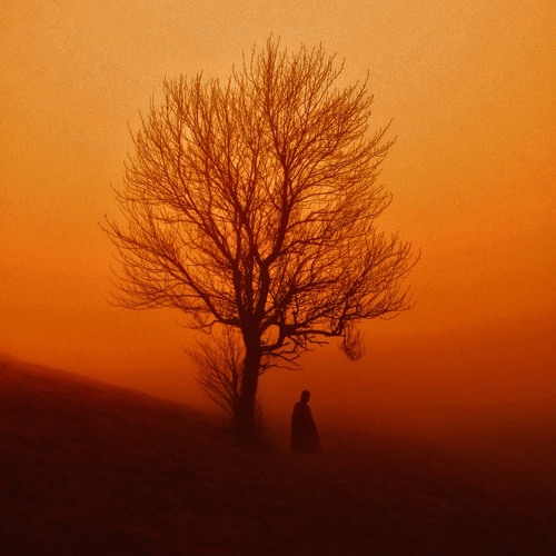 Interlinked (Instermental) - The Lonely Tree