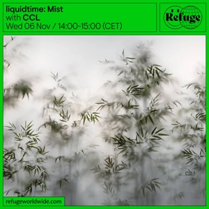 liquidtime: Mist - CCL - 06 Nov 2024