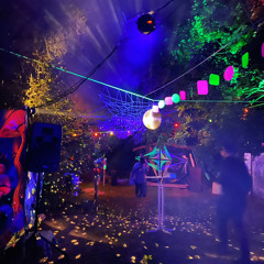 Wolli Wonka @ Nordlichter-Festival Part 2