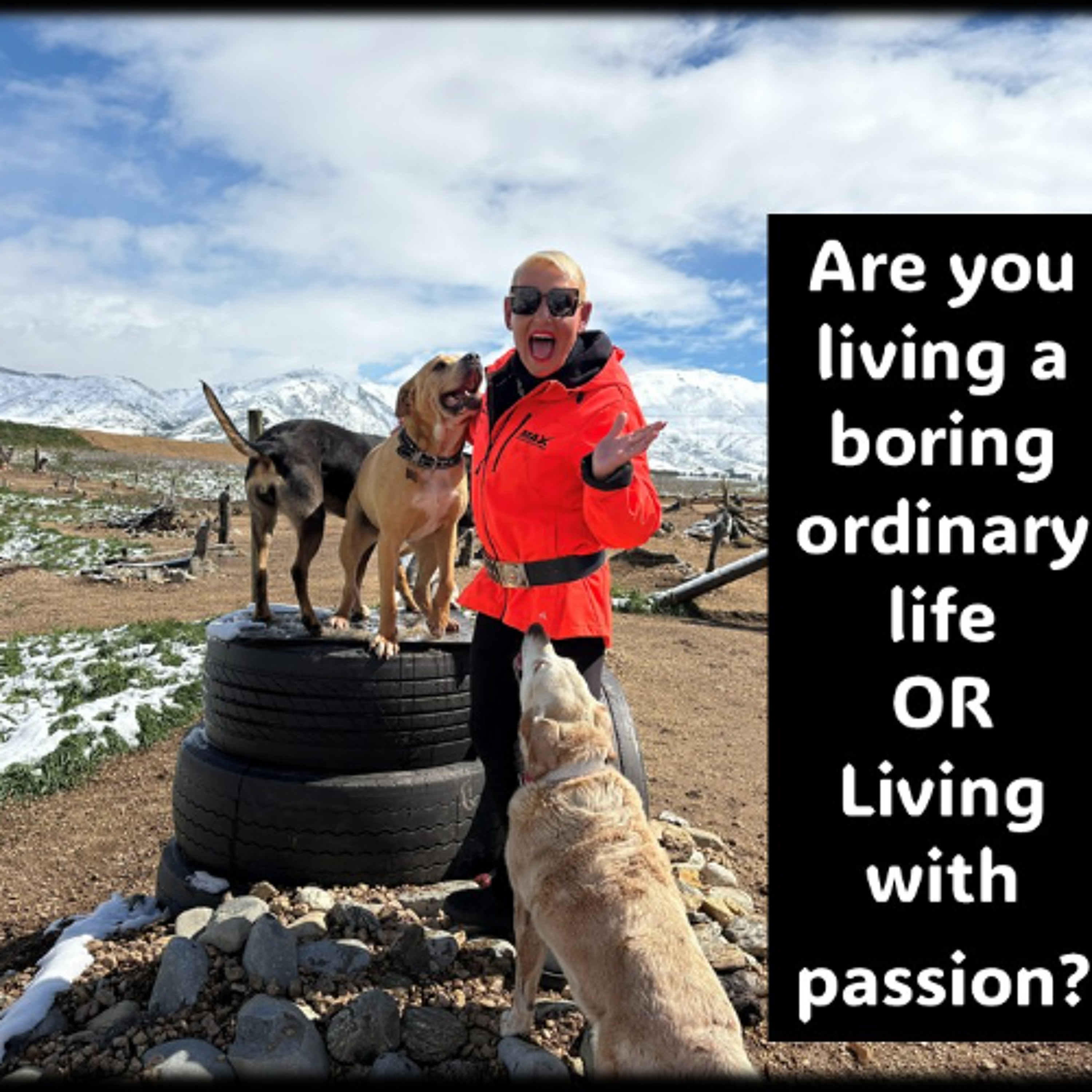 Your Life…Boring and ordinary OR Passionate and fun