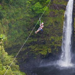 Review Special Price Big Island Zipline Adventure