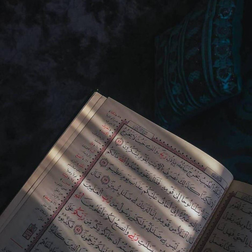 وَكَذَلِكَ أَخْذُ رَبِّكَ إِذَا أَخَذَ الْقُرَى وَهِيَ ظَالِمَةٌ | الزهراني