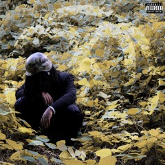 CEREBRUM (interlude)