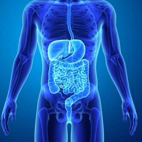 Internal Organ Detoxification Program | Expel Toxins from Liver, Kidneys, Lymph, Intestine, and Lung