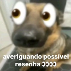 VAI SENTANDO PRO GERENTE ( @koala6xis @rodshawty )