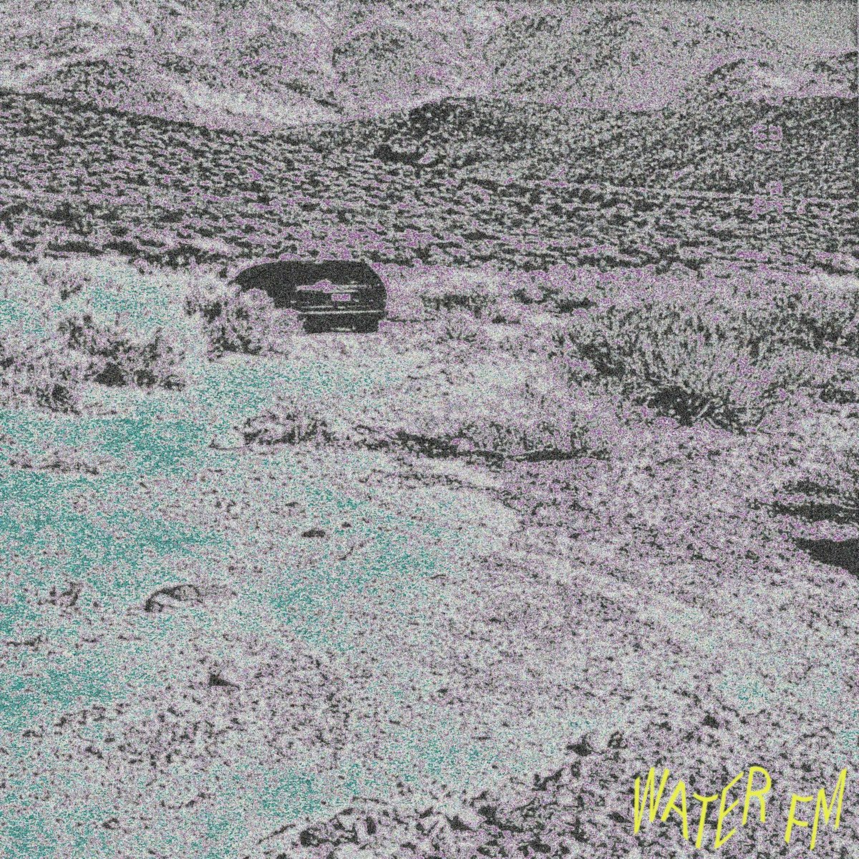 Premiere: Dan Ellis - Long Grass [Color Squad Records] episode artwork