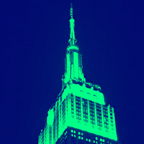 NY 6