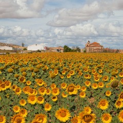 nihilgeist - freedom