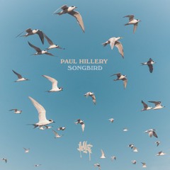 Songbird - Paul Hillery
