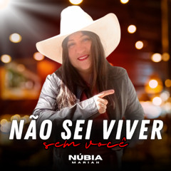 Não Sei Viver Sem Você