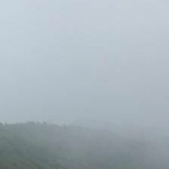 Thefogonthehilltops