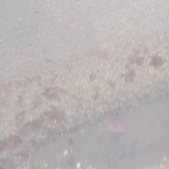 1716065914316_Schrumpfstrahler_1.ogg