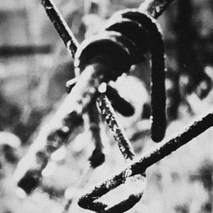 Ограды (feat. HLOY)