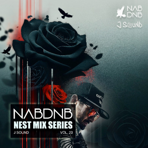 NAB DNB Nest Mix Series [J Sound] - Vol 23