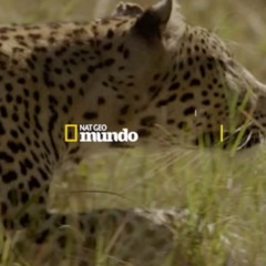 Johnny Ramirez - Promo Demo Reel