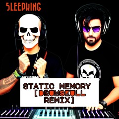 static memory [DRUMSKULL remix]