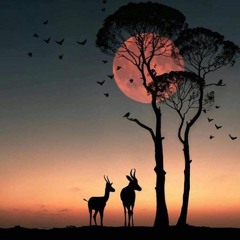 كن بلسمًا - ايليا أبو ماضي
