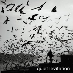 quiet levitation