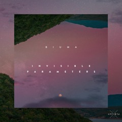 Biuma - Invisible Parameters (Original)