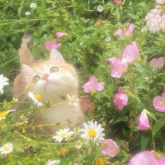 летнее время (p. @emberexclusive)