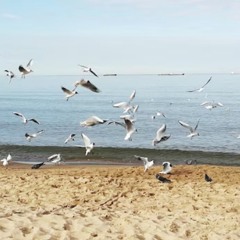 Us Against the World  - Mike Park