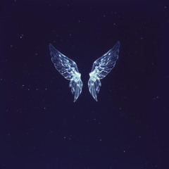 Glass Wings