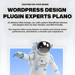 Plano’s Trusted Web Design & Development Company