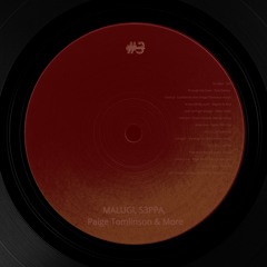 #3 MALUGI, S3PPA, Paige Tomlinson & More