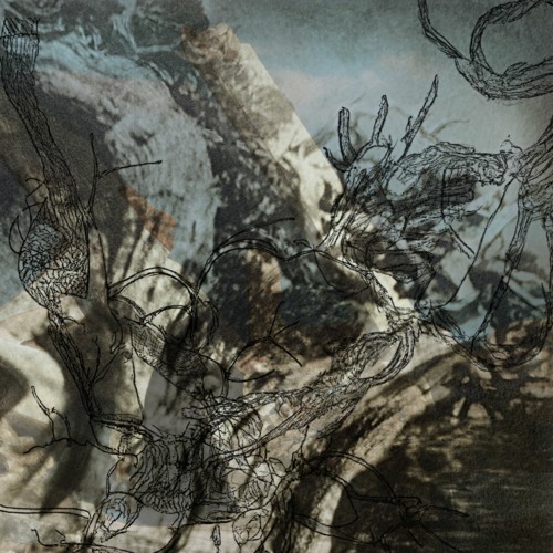 Premiere: Cerpintxt 'microtubule encoded memory'