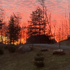 Times of a Broken Heart .m4a