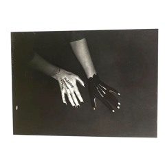 Exposé Noir (March 1st, 2025) - Amelia Holt
