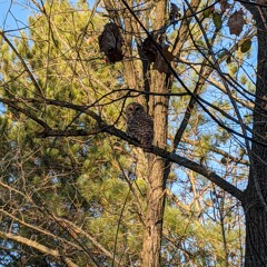 LeRc -- Minimal Mix (spr)