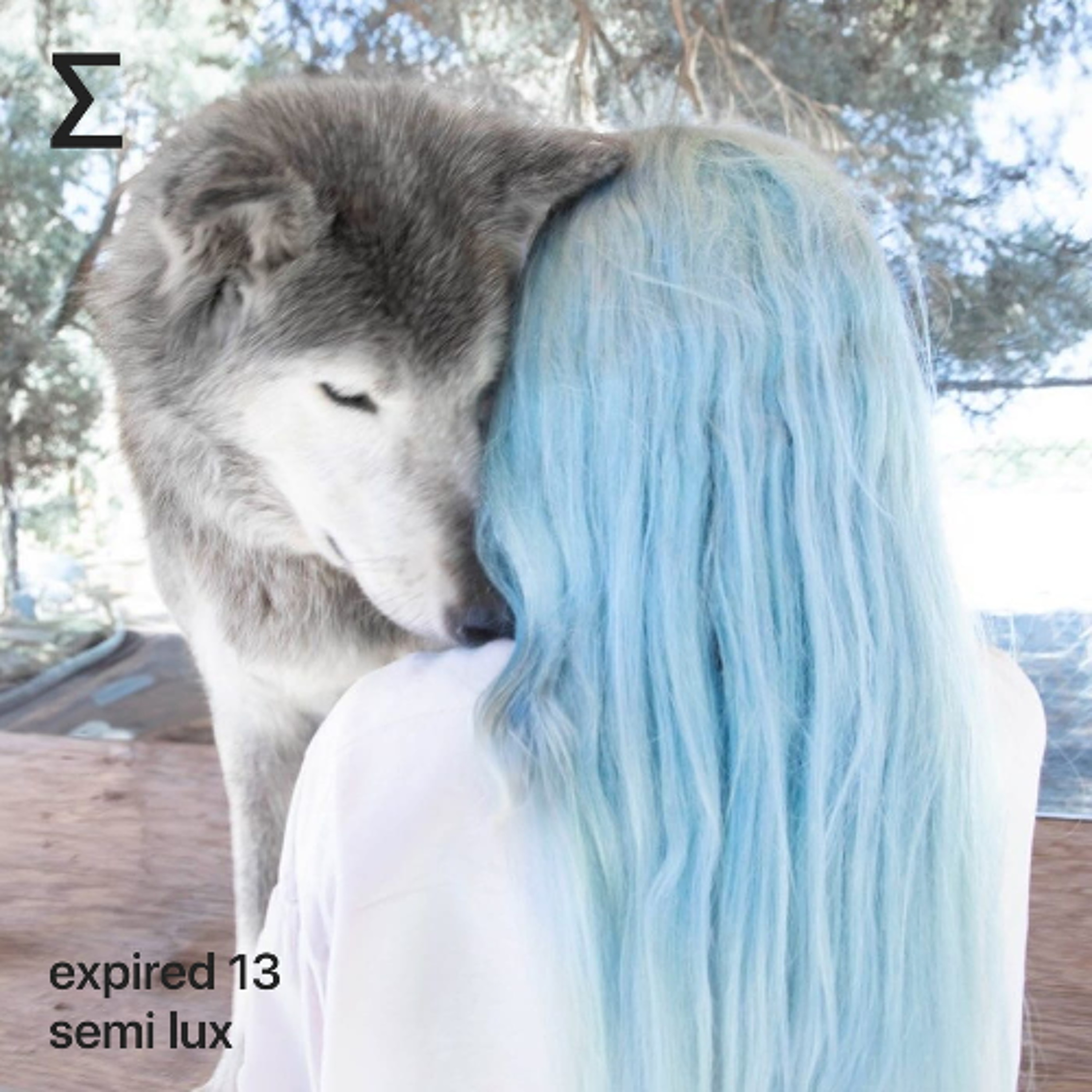 expired 13 – semi lux