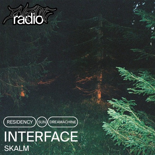 Interface 5 w/ Skalm