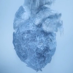 القَلب الجَليدي