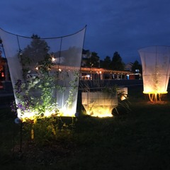 Cueilleurs De Brumes Scorpion Mix