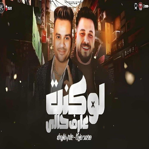 موال لو كنت عارف حالى ( كانت على طرف لسانى وبقولك نرجع تانى ) على فاروق - عزف محمد مزيكا - شعبى 2025