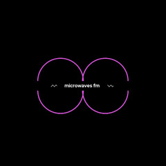 micro sessions vol 13