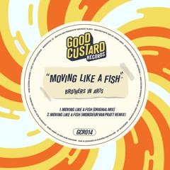 [PREMIERE] Brothers In Arts -  Moving Like A Fish (Original Mix)