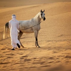 (خط المدينة ( شيلة ريمكس - HENO