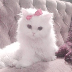 Нкей - Гламур блонды гламур и брюнетки.mp3