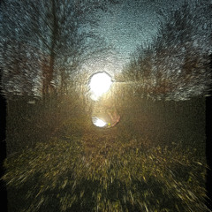 lost memories
