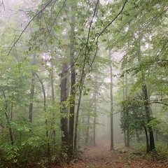 When The Path Becomes Natural