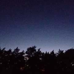 Waiting To Get Murdered