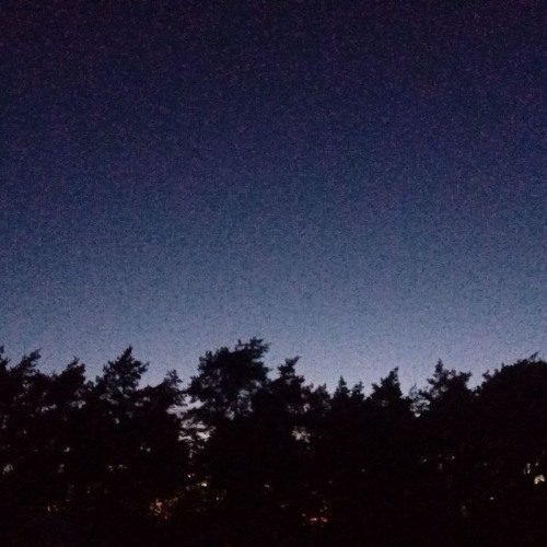 Waiting To Get Murdered